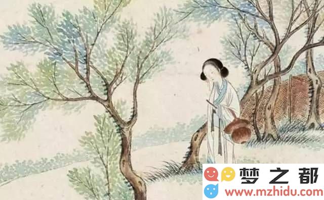 《诗经·卷耳》：探索男女双视角情感的诗歌真谛，千年未解之谜最终浮出水面？