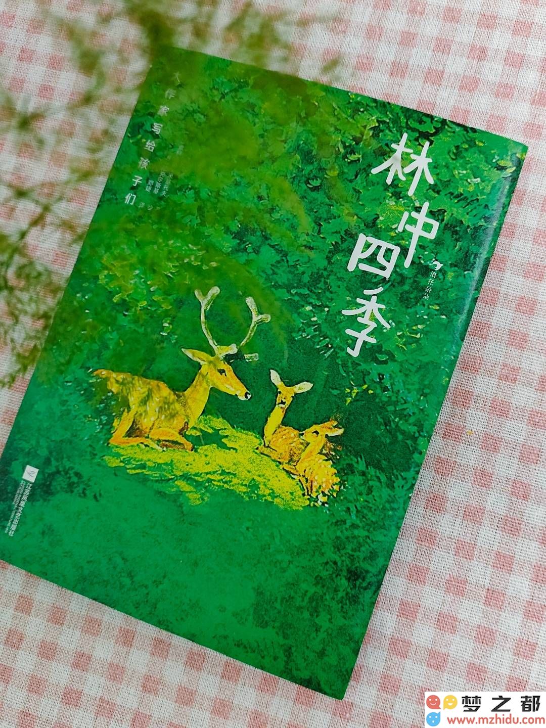 《北方针叶林四季的魅力与生命的乐章，带你领略林中四季的变幻之美》