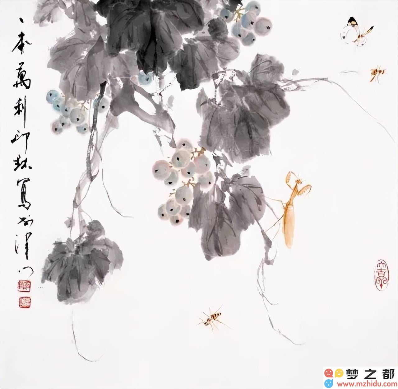 萧朗的蔬果绘画作品，每一幅都如同诗篇般绽放出迷人的意境与生活的美好