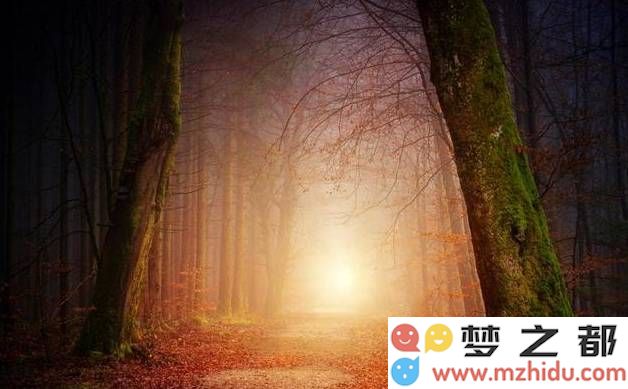 秋日之美：揭示那些捕捉自然绚丽色彩的摄影小技巧与心得