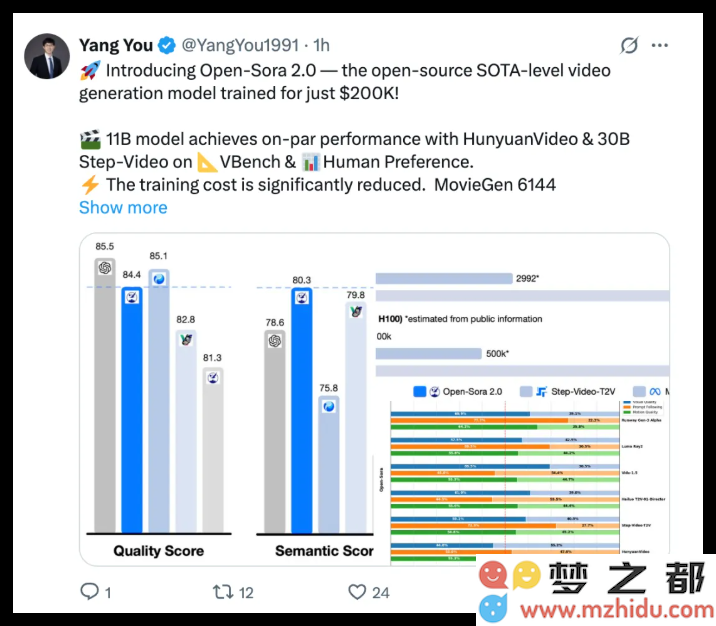 挑战Sora？潞晨科技发布的Open-Sora 2.0开源视频大模型，实现降本提速新突破