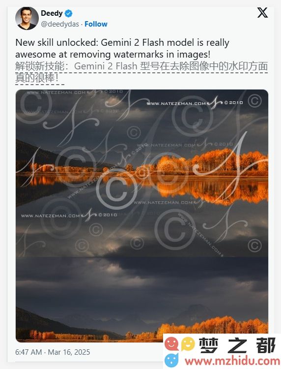 谷歌Gemini 2.0 Flash新功能引争议：去除图片水印或加剧版权问题的担忧