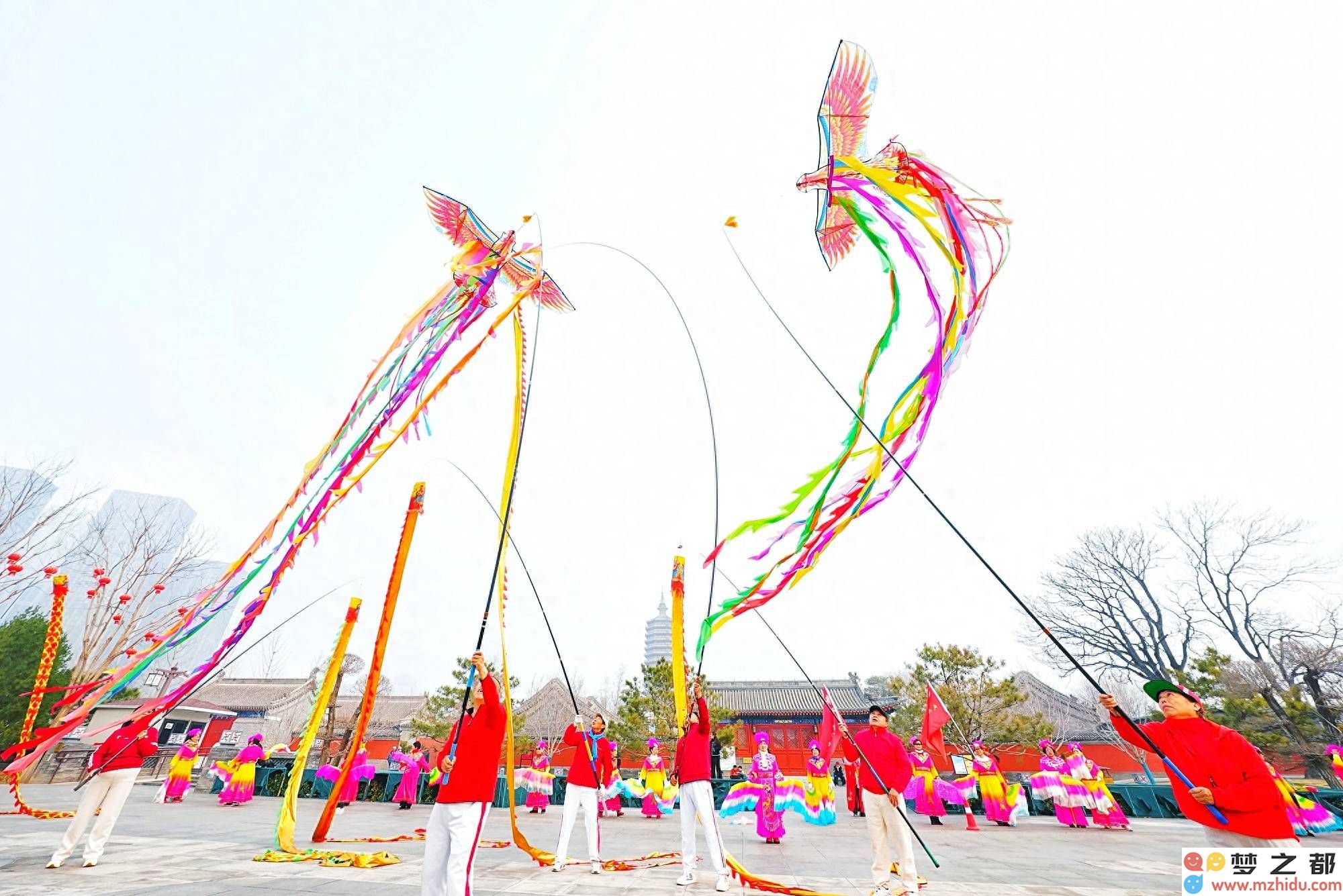 春暖花开龙腾飞，北京城市副中心舞龙盛典盛装上演，气氛热烈照耀春节！