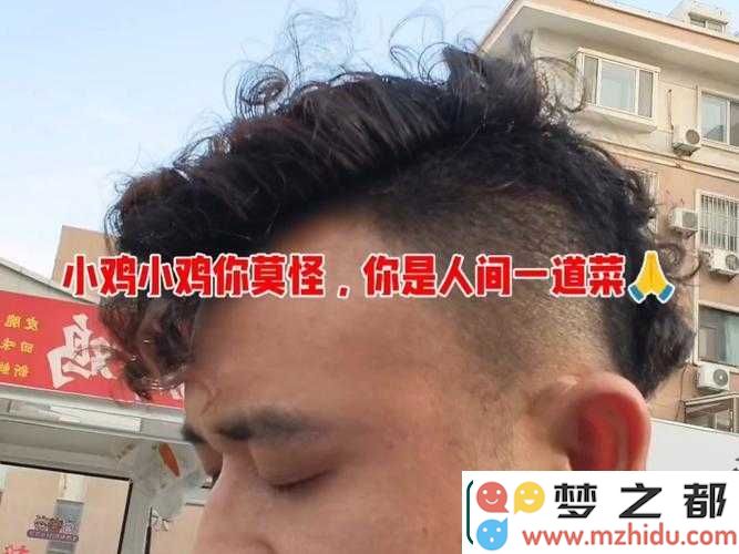 搞笑揭秘！小鸡宝宝的智力测试：不惑之年的真实故事让人捧腹大笑