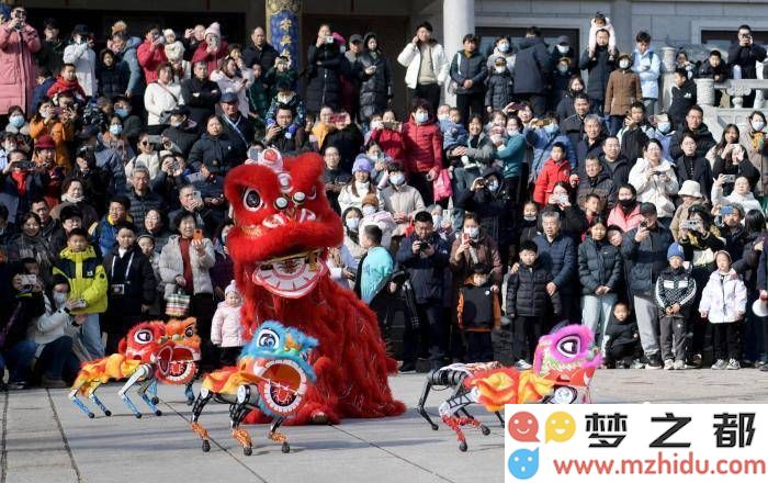 元宵节庆,济南大明湖畔机器狗舞狮的热潮成为市民新宠