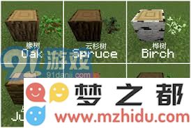 如何提升我的世界树苗生长速度?深入探讨生长环境与技巧
