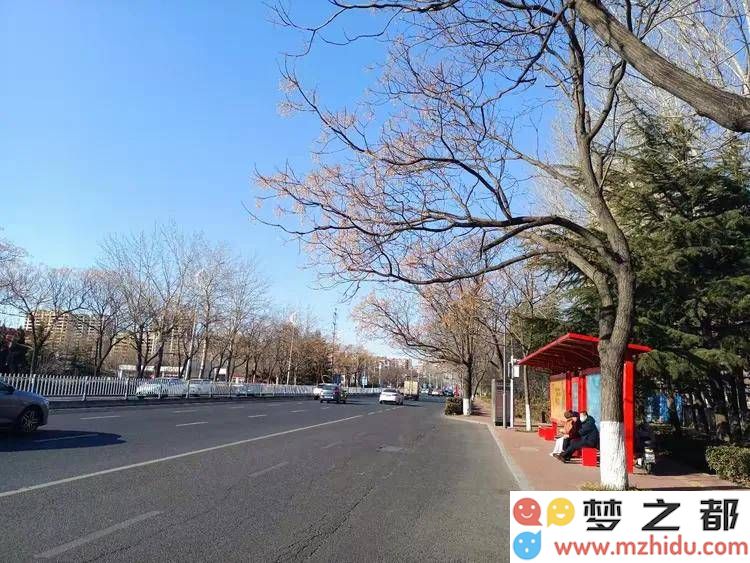 早春的韵律：五位诗人描绘春光乍泄与岁月流逝的美丽篇章