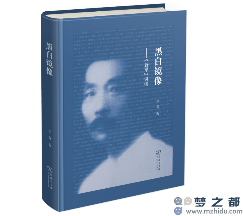 李森对《野草》的深入解读：丁帆赞其独特的感性与理性交错的新阐释境界