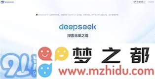 深度探索DeepSeek官网入口与分享