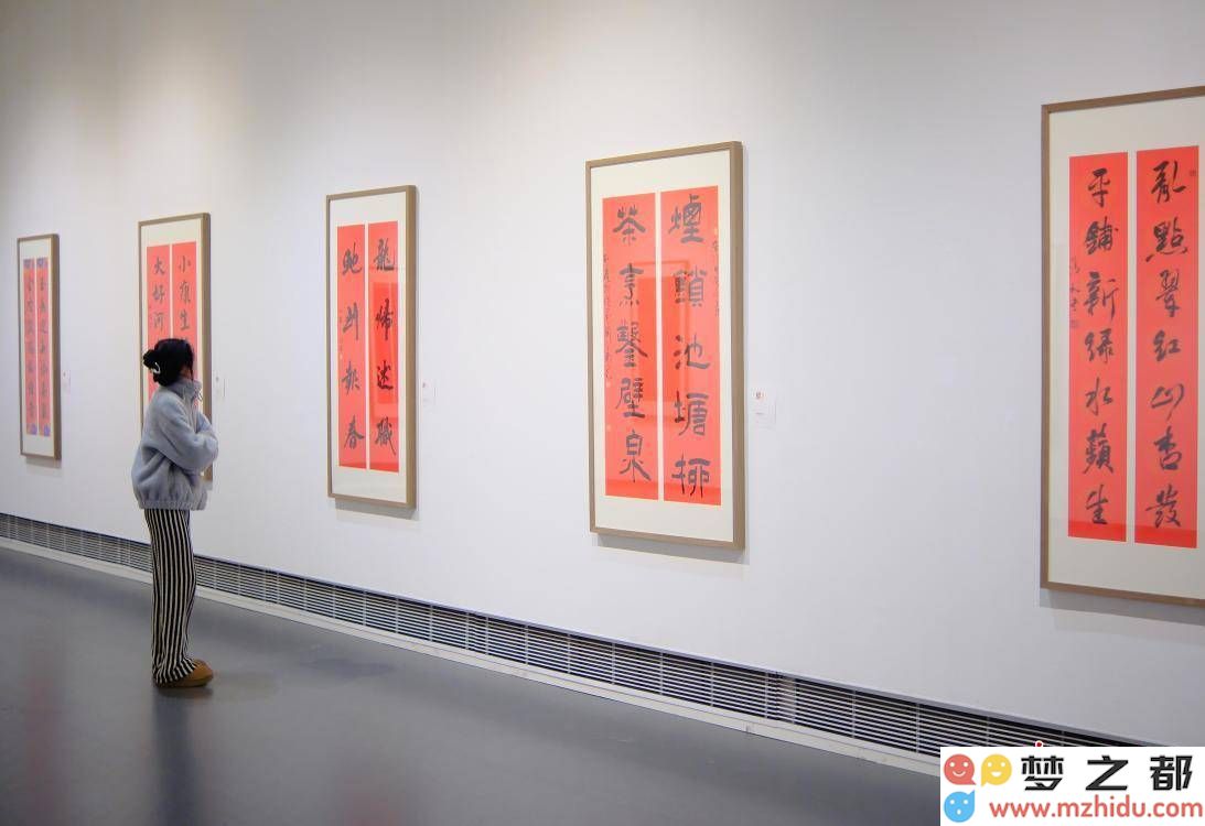 南通艺术新春展:百幅精美春联共绘蛇年祝福与美好愿景