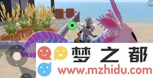 创造与魔法游戏中魔幻小生物大顽皮蝾螈饲料制作方法全解析及实用技巧