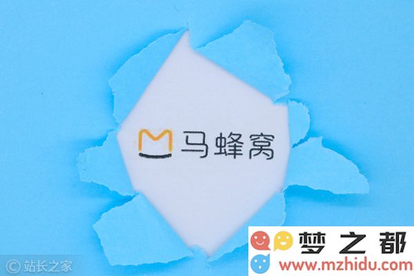 马蜂窝 (1)