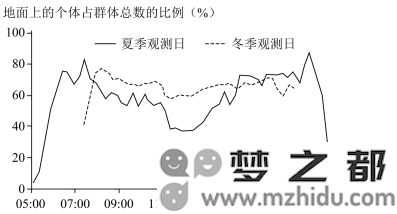 非洲冰鼠活动规律观测图