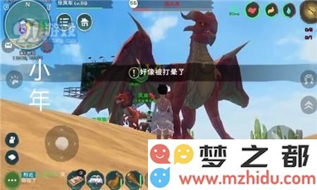 创造与魔法飞龙怎么击晕 手持墨汁炸弹很重要