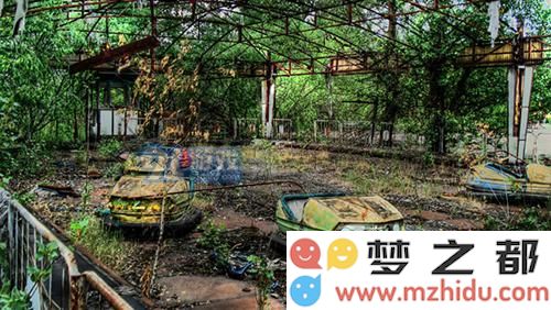 明日之后秋日森林特殊感染体在哪