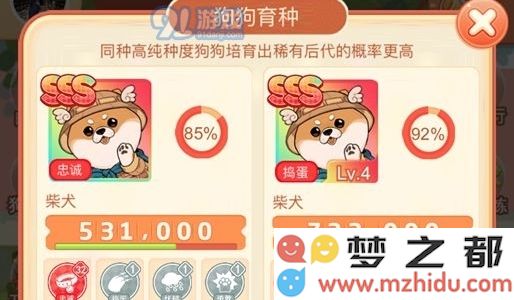 家居改造王狗狗怎么培养 狗狗培养讲解