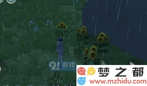 创造与魔法向日葵在哪里?