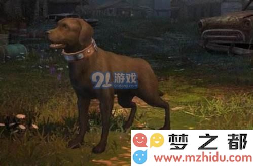 明日之后挖矿工和采麻工图片