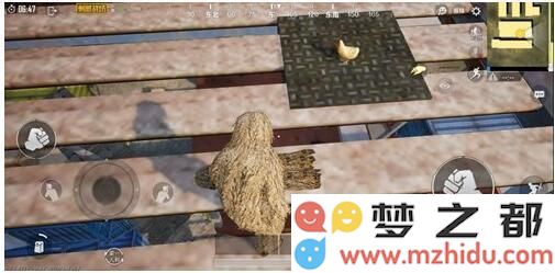 QQ图片20180702114904.jpg