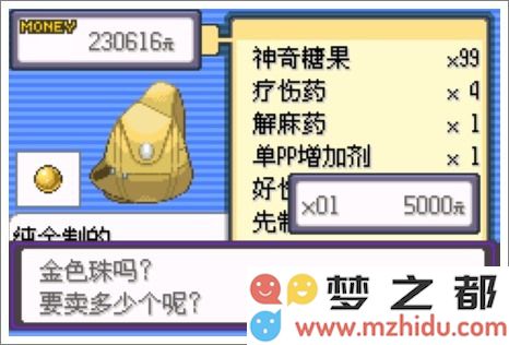 口袋妖怪漆黑的魅影