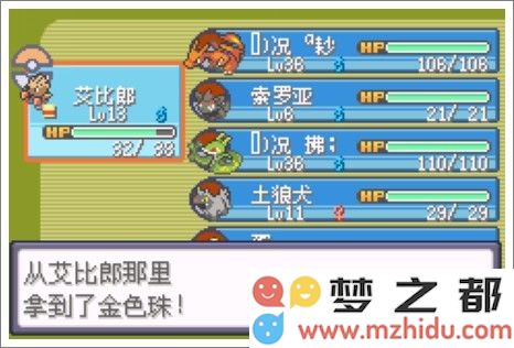 口袋妖怪漆黑的魅影
