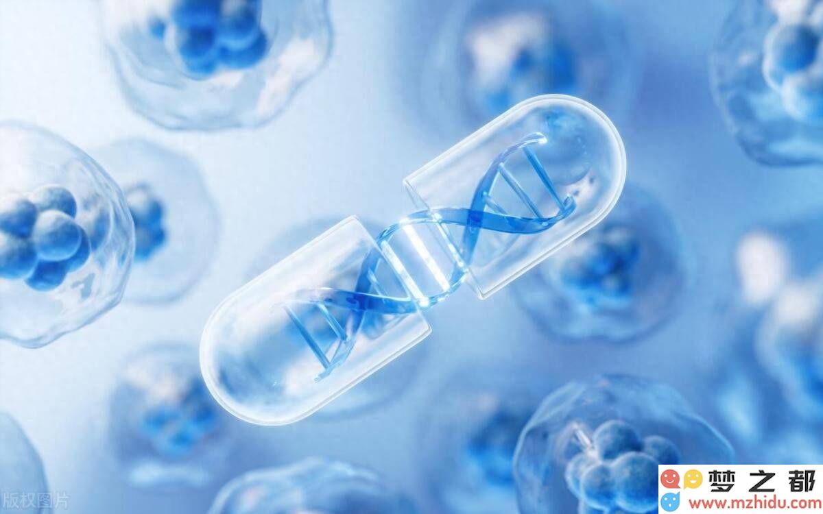 品牌魅力全攻略：形象塑造、故事叙述、社交互动及优质服务，你掌握了吗？