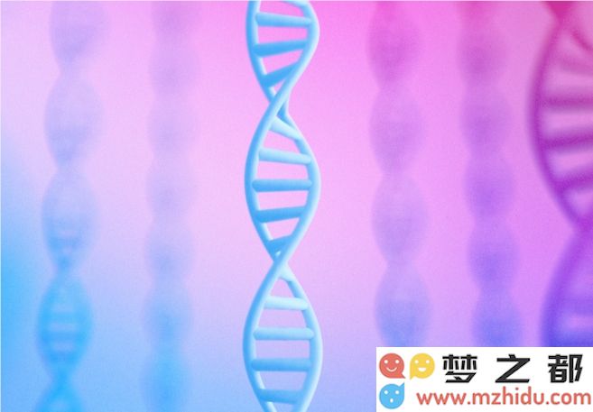 谷歌发布 AlphaGenome：利用 AI 技术助力基因研究，轻松解析生命的秘密