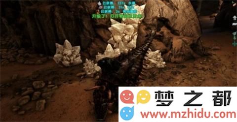 方舟生存进化手机版水晶分布点都在哪 方舟生存进化水晶分布点详解