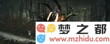 污痕圣杯Woolsey成就达成的详细攻略与心得分享，让你轻松获取所有成就