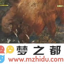 怪物猎人荒野中操虫棍的使用技巧与战斗策略全面解析