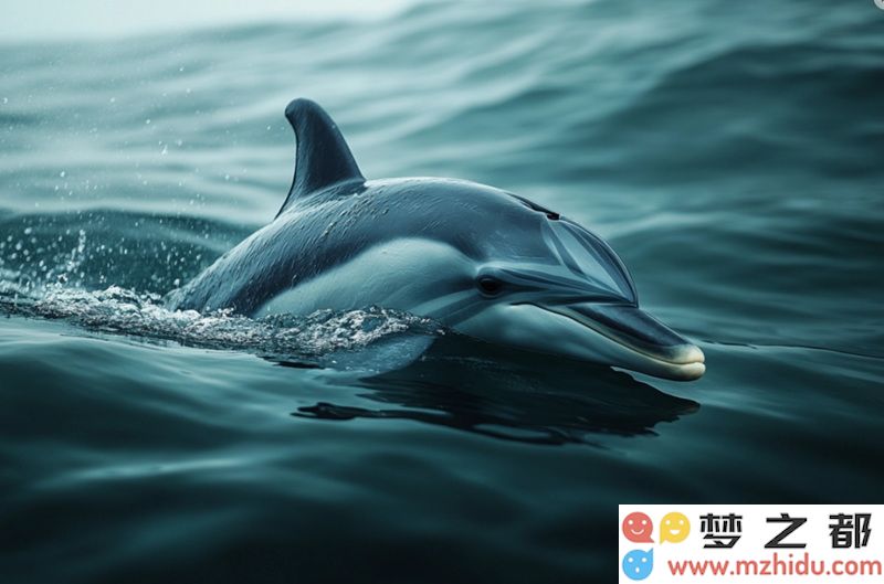Google发布DolphinGemma，开启海豚语言研究的新纪元与崭新篇章