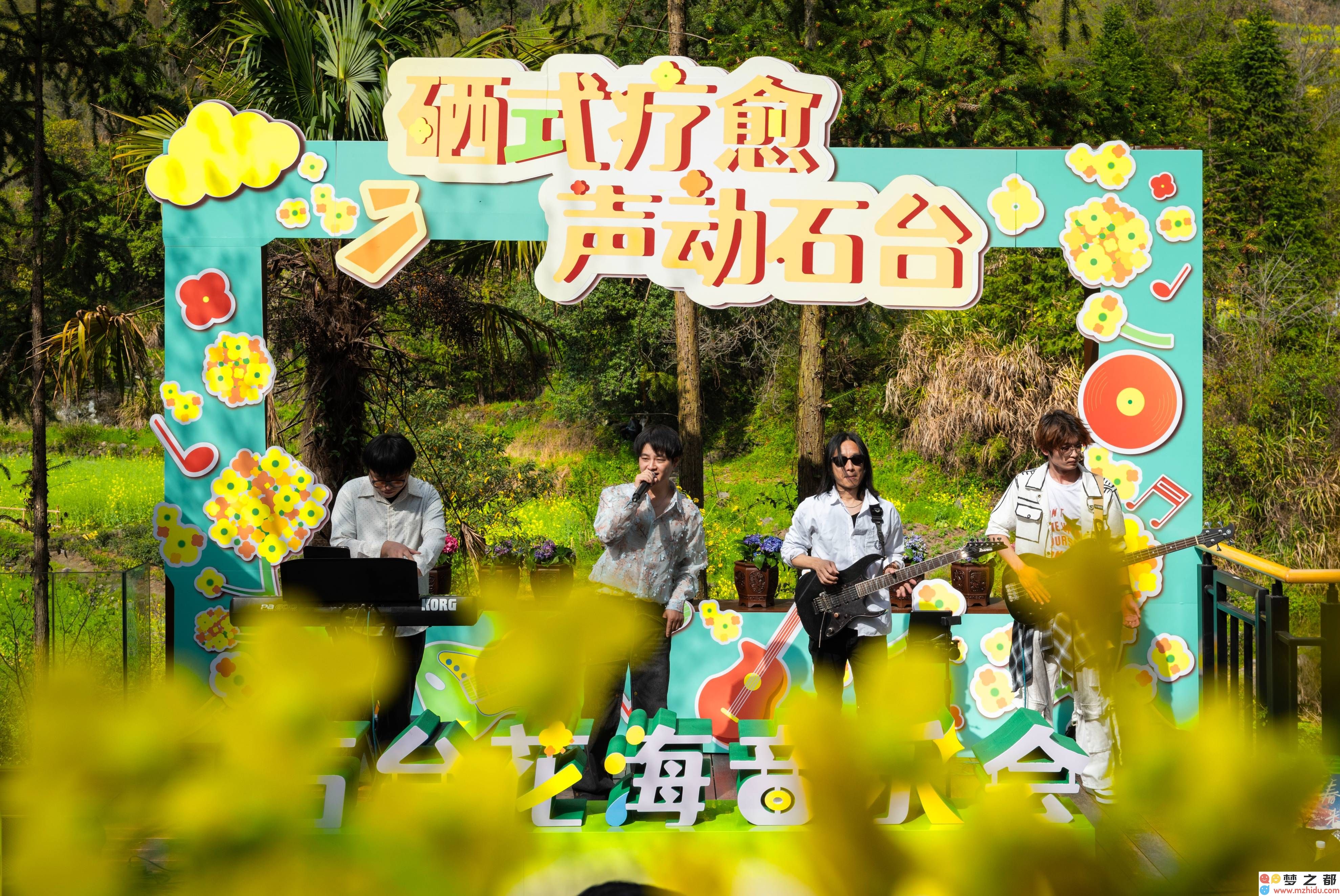 山乡花海音乐会：以硒为媒，奏响生态与疗愈的和谐乐章