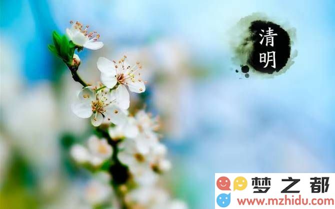 在清明节的氛围中，一场关于生命承载与文化传承的深情交谈
