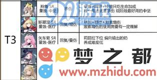 如何在锚点降临中有效搭配刺玫模组以提升角色战斗力和生存能力