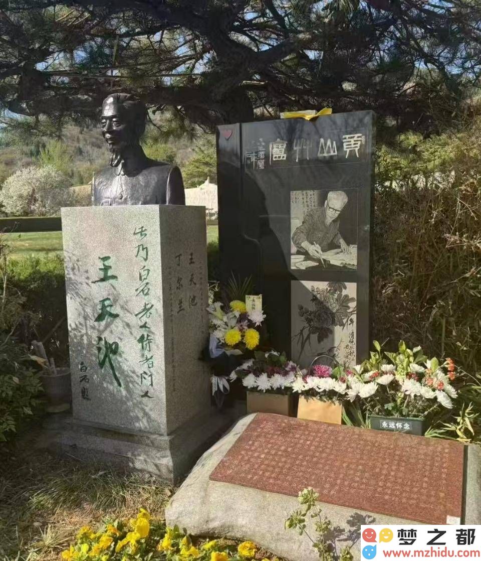《王天池作品集》：在笔墨的交融中绽放情感与力量，艺术的灵魂将永恒不灭