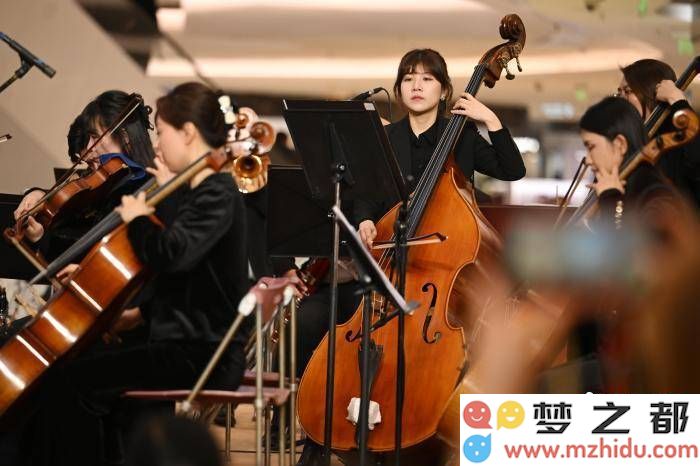 南京国金中心春日交响乐演奏，音乐传递温暖的祝福与希望