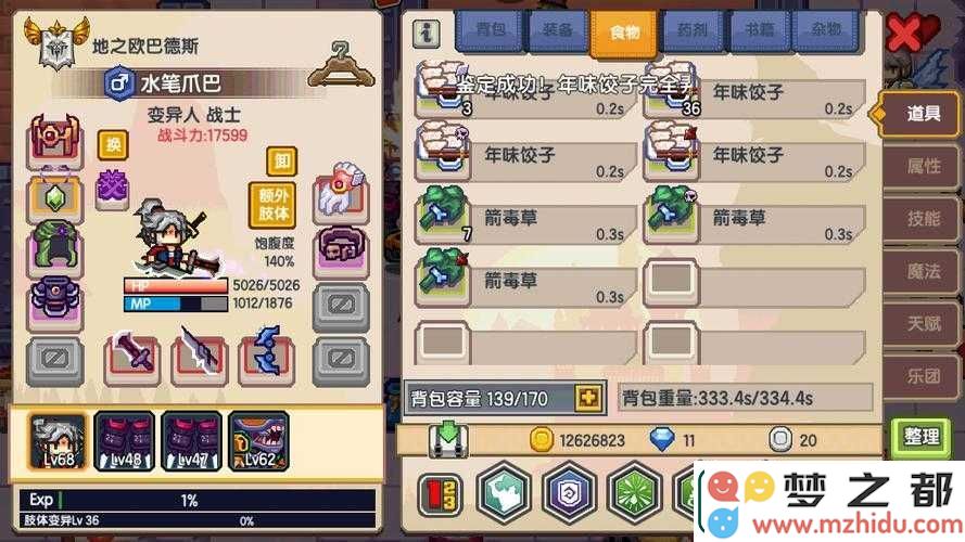 新手必看！伊洛纳符文速刷技巧零基础攻略大揭秘，快速提升你的游戏体验