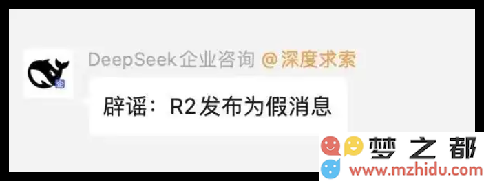 DeepSeek正式澄清：关于R2将在3月17日发布的传言完全不实