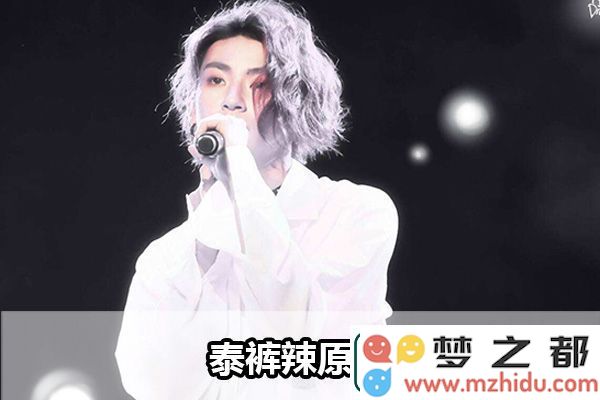泰裤辣的详细攻略：高效实现每天任务的快速完成方法
