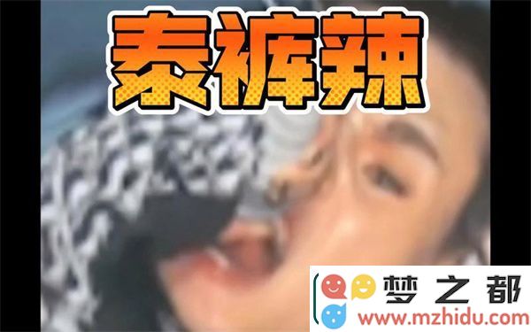 泰裤辣原文