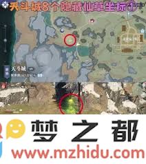 斗罗大陆猎魂世界仙草采集位置详细指南与攻略分享