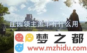 庄园领主酒馆及其牧场的多重功能与经济效益深入解析