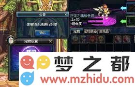 详细解析DNF宠物封印胶囊的使用步骤与注意事项，让你轻松掌握宠物封印技巧