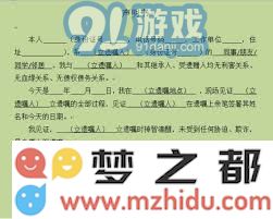 遗嘱咨询师的主要职能及其在遗产规划中的重要作用