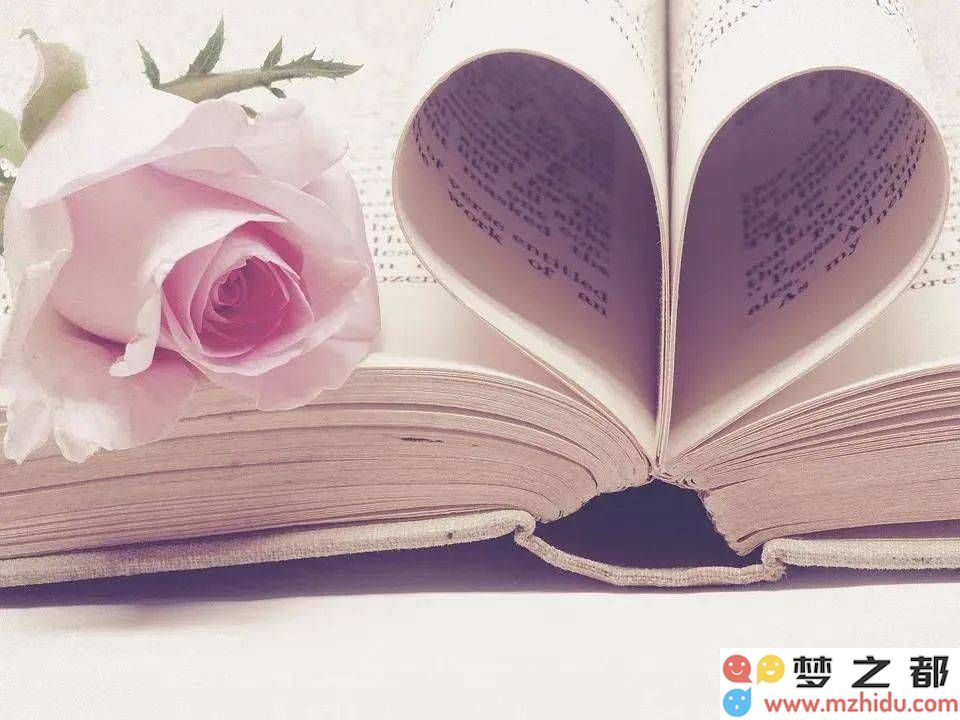 字句的旋律：内心深处的独白与绽放之美