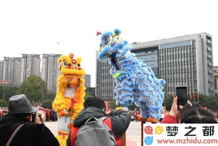 重庆荣昌新春庆典：万众同欢舞龙狮，浓厚传统年味共度佳节