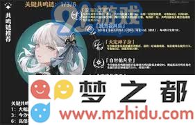 鸣潮2.0今汐共鸣链抽取方法解析：全方位提升抽取成功率的实用技巧