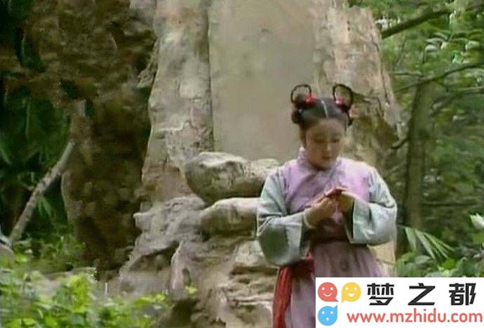 绣春囊的隐藏真相：傻大姐意外捡到的究竟属于谁？专家分析结果竟指向薛宝钗！