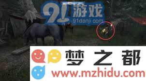 天国拯救2新人攻略：高效提升实力的技巧与心得全面分享