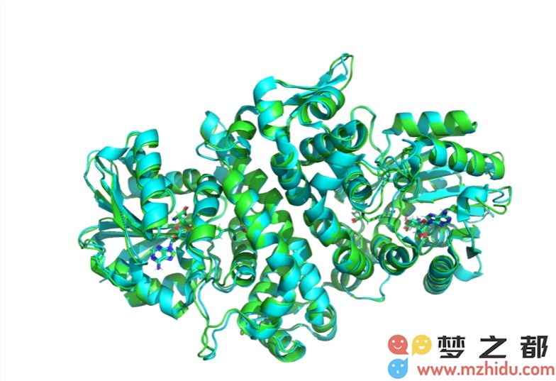 MIT研究团队推出开源AI模型Boltz-1，助力生物分子结构精准预测与分析